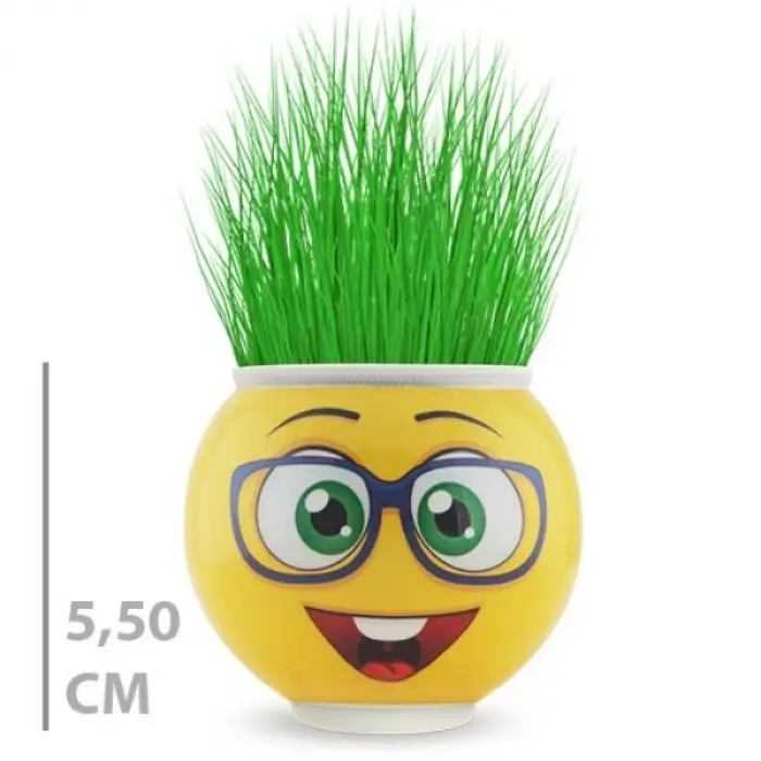 1 Adet Çim Adam Saksı Emoji Figürlü