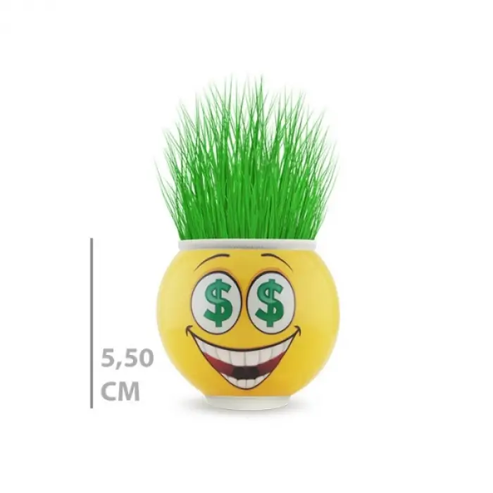 1 Adet Çim Adam Saksı Emoji Figürlü