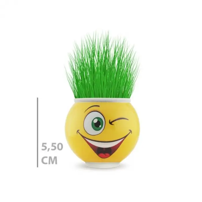 1 Adet Çim Adam Saksı Emoji Figürlü