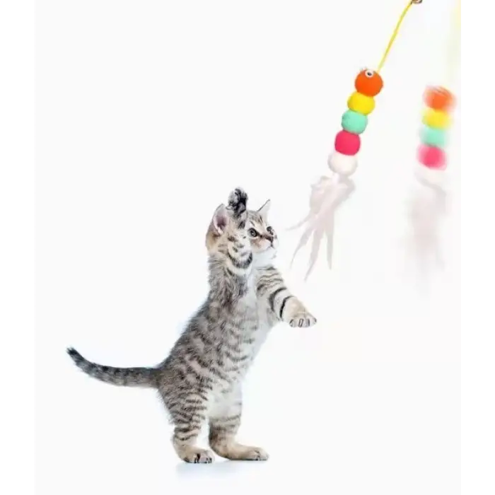 Kullanıma Uygun Elastik Yapışkanlı Kedi Oyun Oltası
