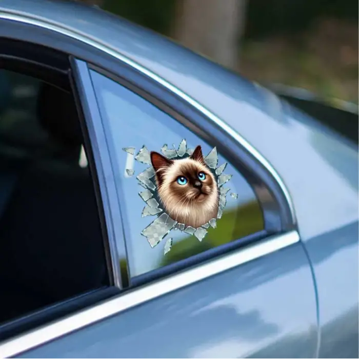 10 cm Cam Fulcar Siamesse Araç Stickerı