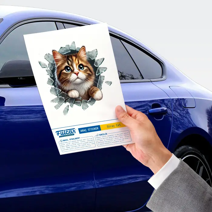 10 cm Cam Fulcar Stray Araç Stickerı