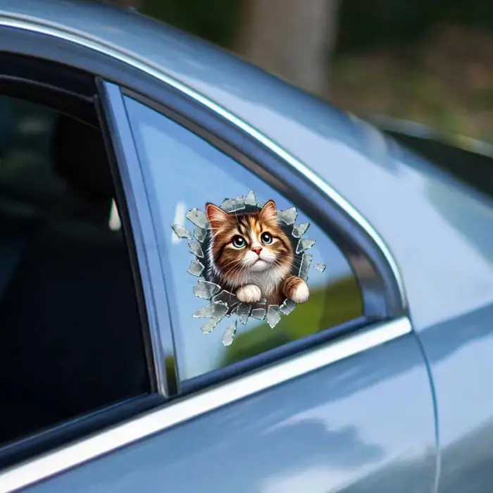 10 cm Cam Fulcar Stray Araç Stickerı