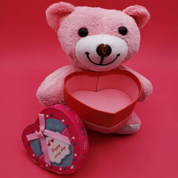 25 cm Kullanıma Uygun Hediyelik Pembe Kutulu Ayıcık