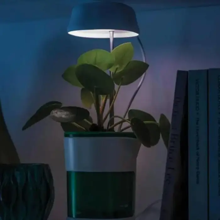 15.5 cm Kullanıma Uygun Hızlı Bitki Yetiştirme Saksısı