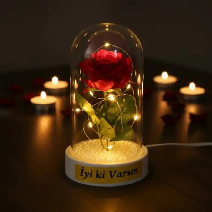 10 x 18 cm Kullanıma Uygun İncili Ledli Gül Fanus