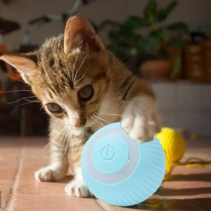 Silikon İnteraktif Kedi Köpek Şarjlı Oyun Topu