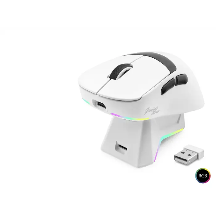 500 mAh Kablosuz Rgb Mouse Şarj Standlı Beyaz MF1216W