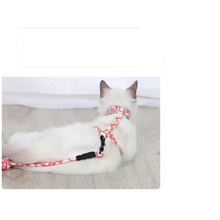 Kullanıma Uygun Kedi Gezdirme Göğüs Tasması
