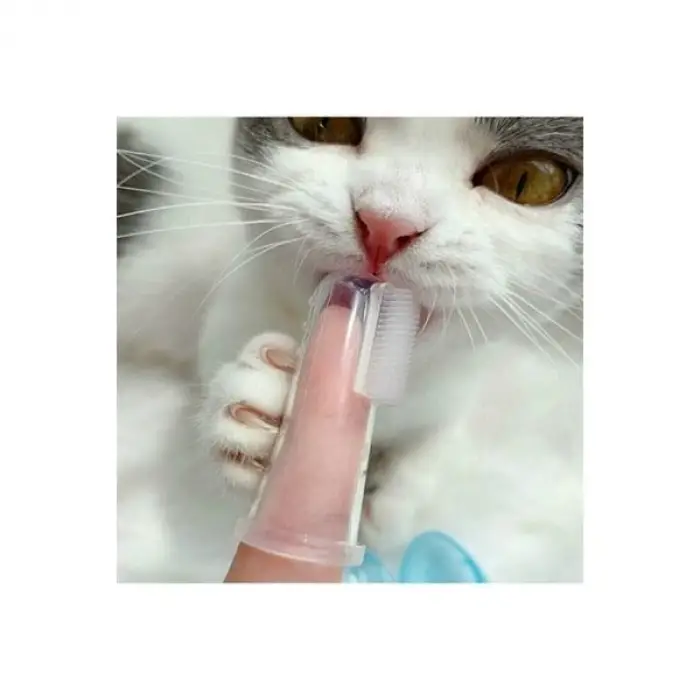 Silikon Kedi Köpek Diş Temizleme Fırçası