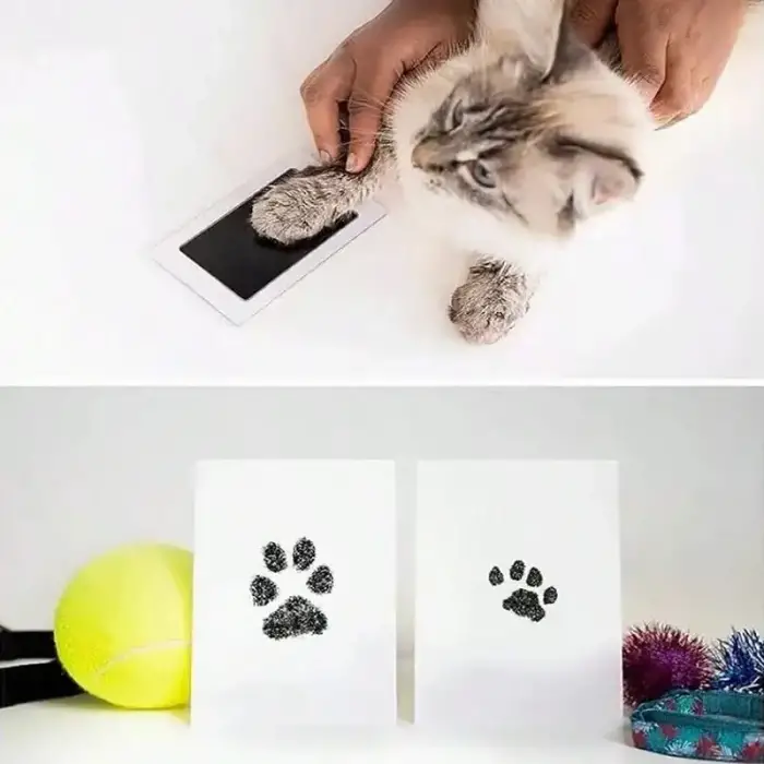 Kullanıma Uygun Kedi Köpek Pati İzi Fotoğraf Çerçevesi Seti