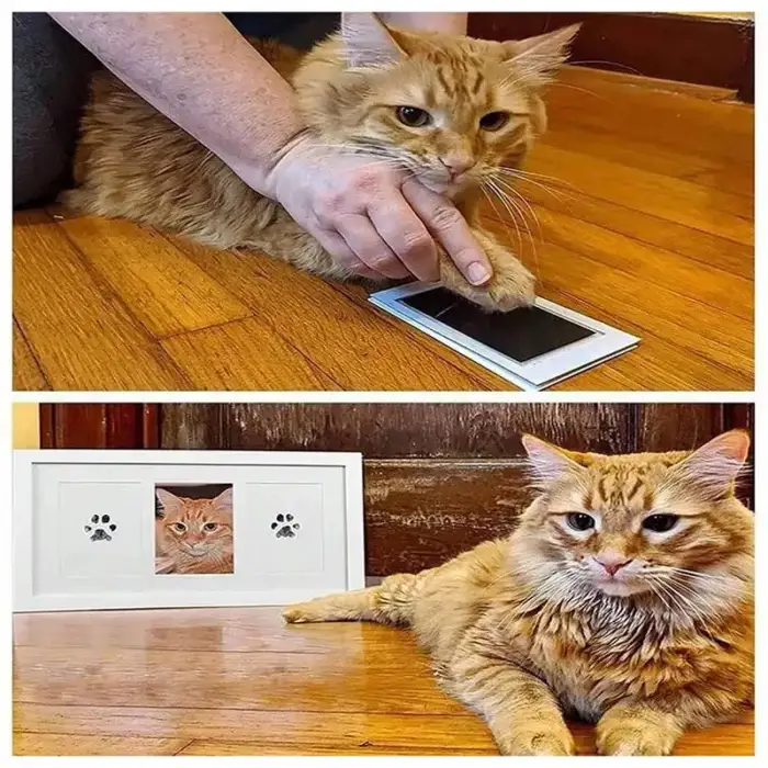 Kullanıma Uygun Kedi Köpek Pati İzi Fotoğraf Çerçevesi Seti