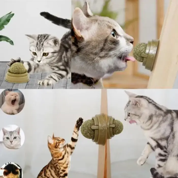 5 cm 1 Adet Kullanıma Uygun Kedi Nanesi Oyun Topu