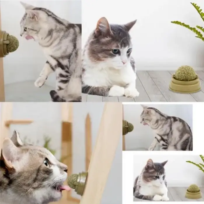 5 cm 1 Adet Kullanıma Uygun Kedi Nanesi Oyun Topu