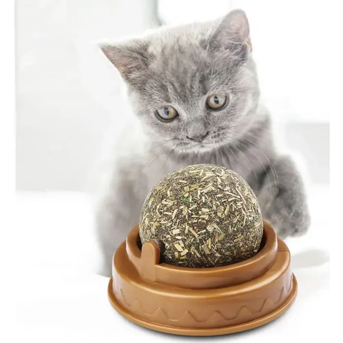5 cm 1 Adet Kullanıma Uygun Kedi Nanesi Oyun Topu