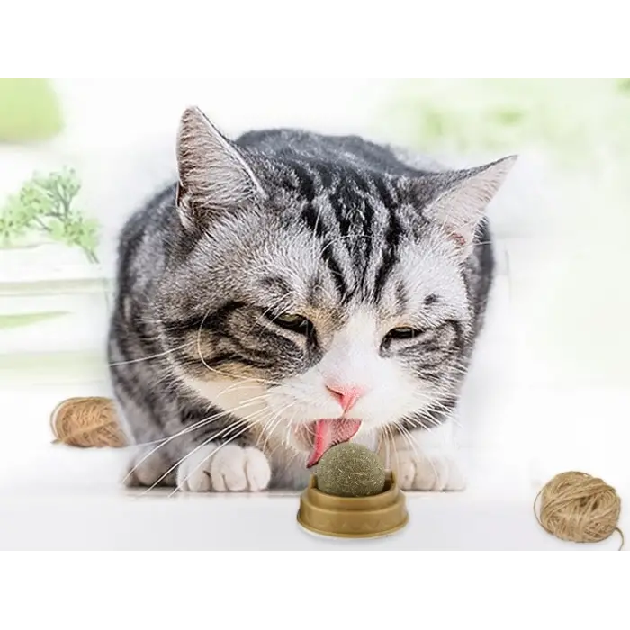 4 cm Kullanıma Uygun Kedi Otu Oyun Topu