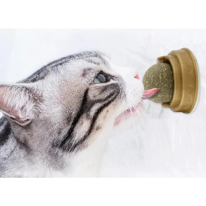 4 cm Kullanıma Uygun Kedi Otu Oyun Topu
