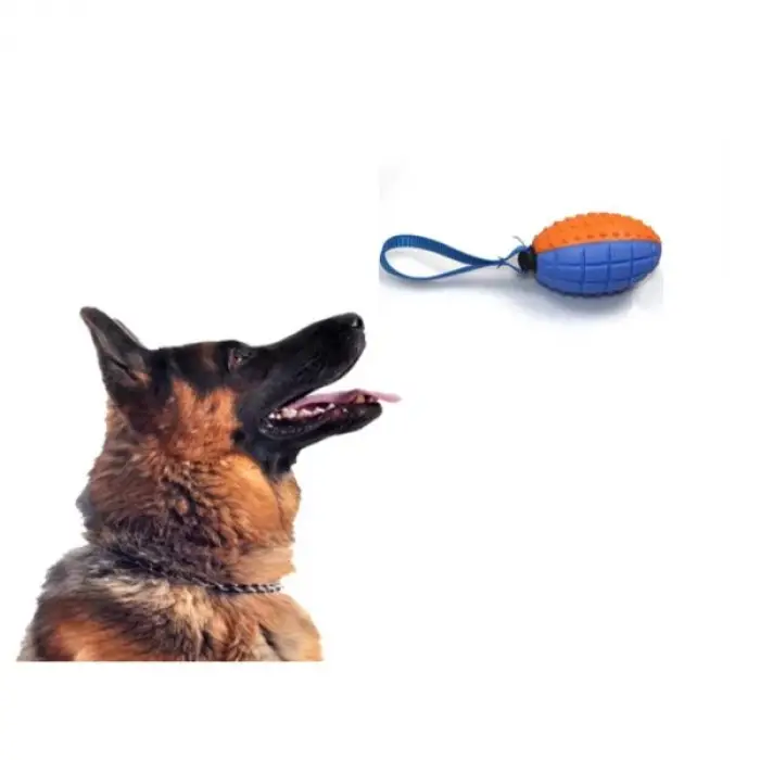 Kullanıma Uygun Köpek Diş Kaşıma Oyun Topu