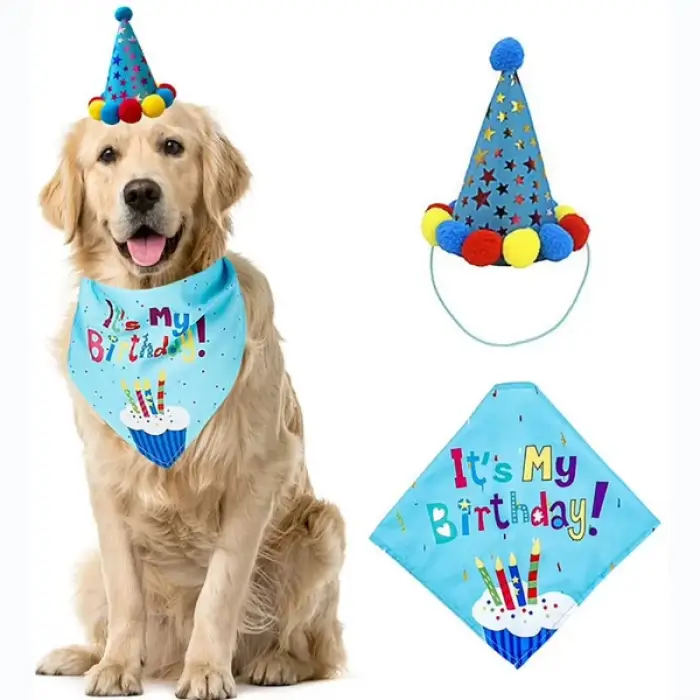 Kullanıma Uygun Köpekler İçin Doğum Günü Partisi Seti