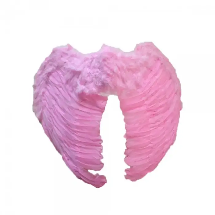 Kostüm seti Melek Kanadı Pembe
