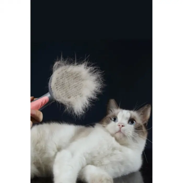 Kullanıma Uygun Otomatik Tuşlu Kendini Temizleyen Kedi Köpek Tarağı