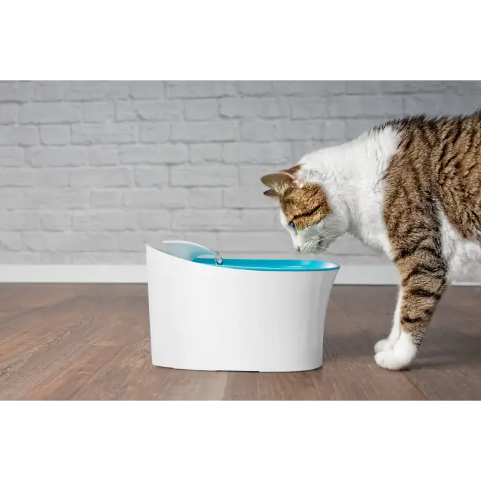 Kullanıma Uygun Otomatik Uyarılı Kedi Köpek Su Kabı