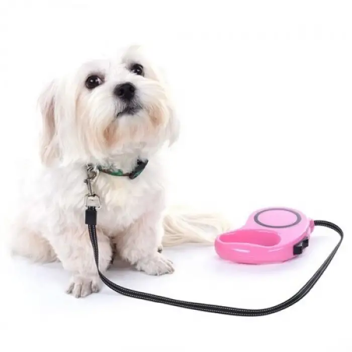 3 METRE Ölçülü Otomatik Uzayan Köpek Tasması