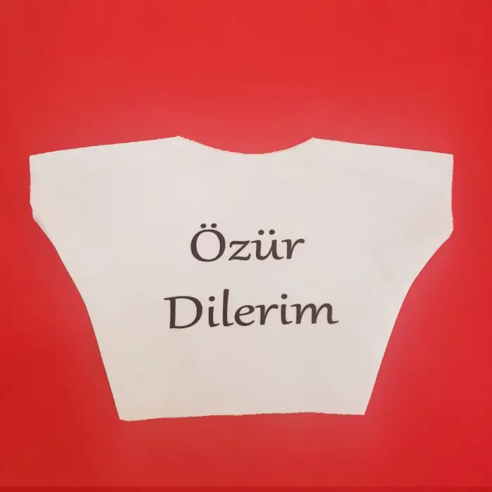 Oyuncak Özür Dilerim Yazılı Peluş Ayı Tişörtü