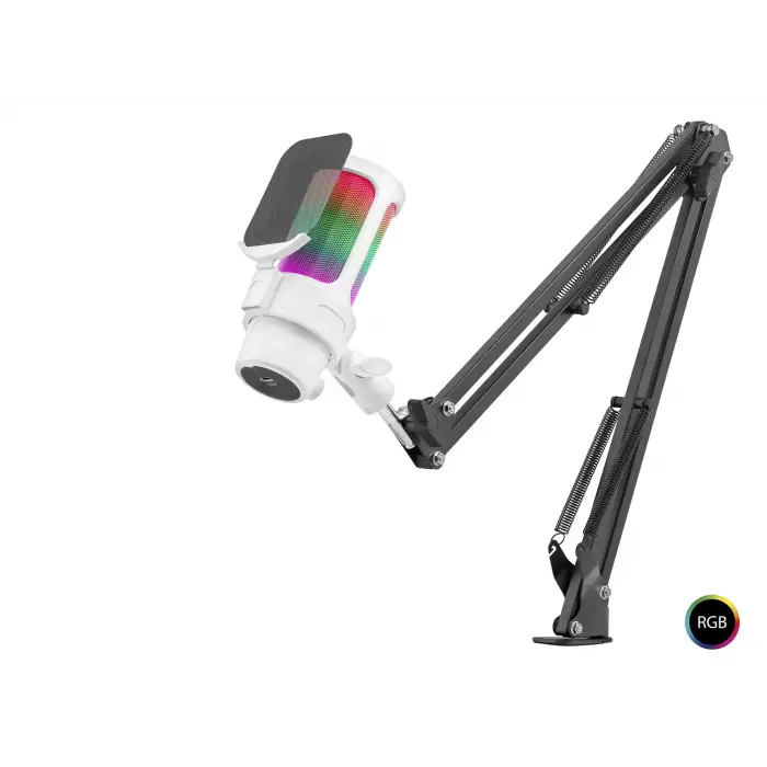Metal Profesyonel ayarlı Masa Kolu Askılı Rgb Khz / 24Bit Type C Beyaz M835W