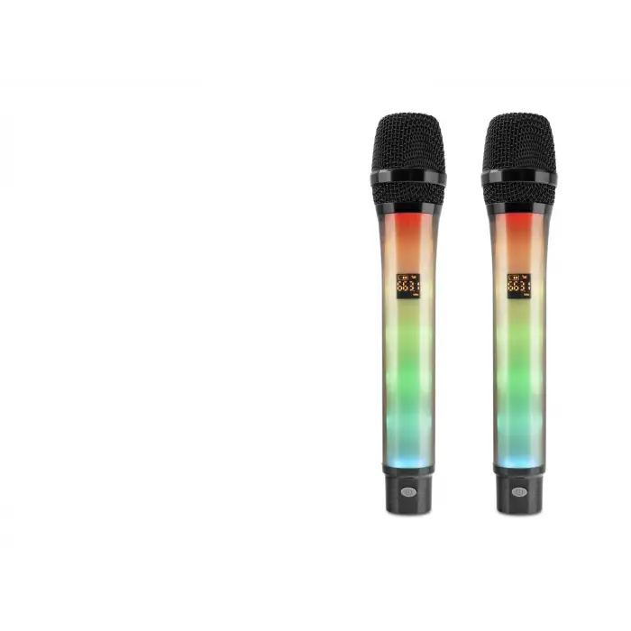 Profesyonel Kablosuz Uhf 2 Mikrofonlu Set Rgb Siyah