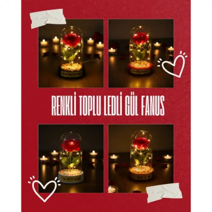 10 x 18 cm Kullanıma Uygun Renkli Toplu Ledli Gül Fanus