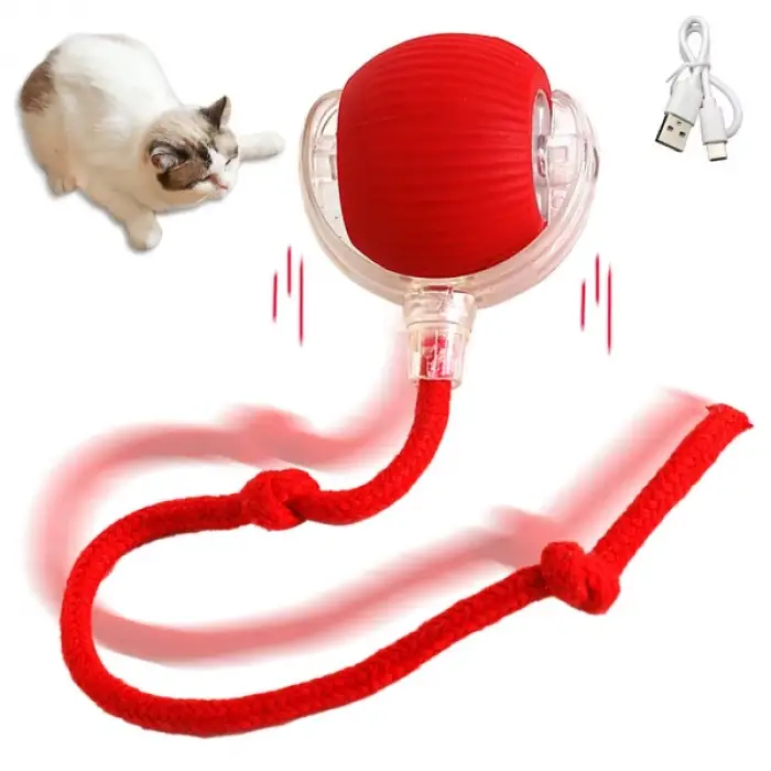 Yeşil Plastik Şarjlı Kedi Oyuncağı