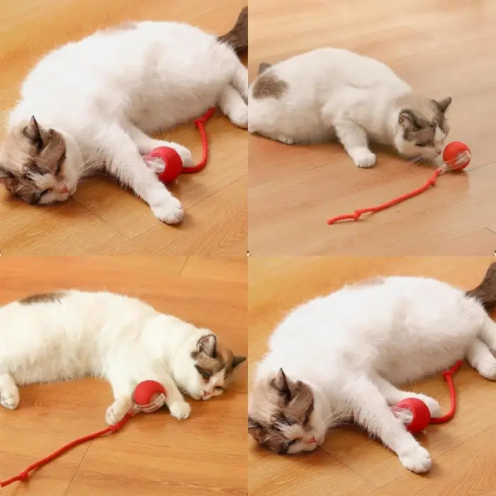 Yeşil Plastik Şarjlı Kedi Oyuncağı