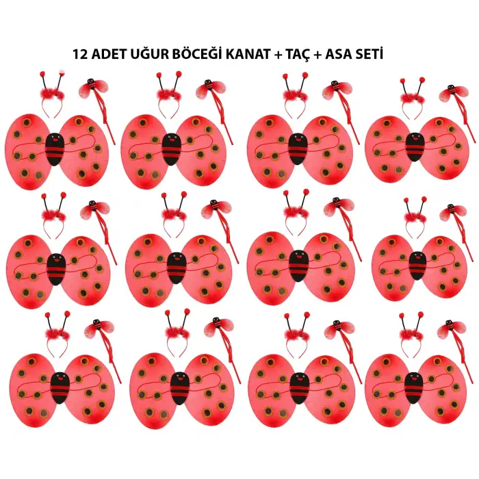 Kostüm Seti Uğur Böceği Kanat, Taç, Asa 12 Adet