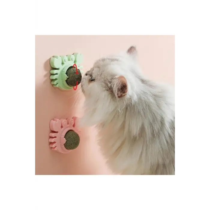 Kullanıma Uygun Yengeç Kedi Otu Oyun Topu