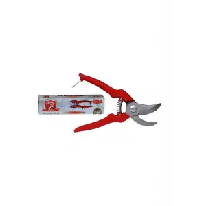 21 Cm Aslan M 2010 Bağ / Budama / Dal Makası