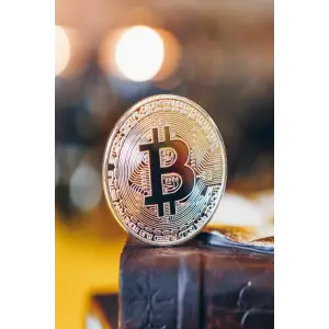 Hediye Sikke Para Bitcoin Madeni Hatıra Parası Madeni Bitcoin