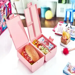 1 Adet Plastik Çift Kapaklı Bölmeli Beslenme Kabı
