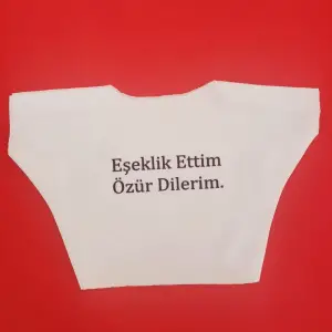 25 Cm Oyuncak Eşeklik Ettim Yazılı Tişörtü