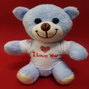 25 Cm I Love You Ayıcık