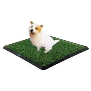 47 cm 1 Adet Kullanıma Uygun Köpek Tuvalet Eğitim Seti
