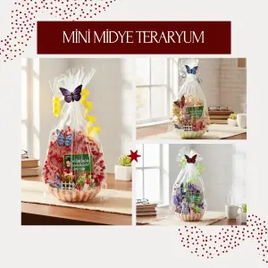 Kompakt Midye Teraryum Öğretmenler Günü Hediyesi