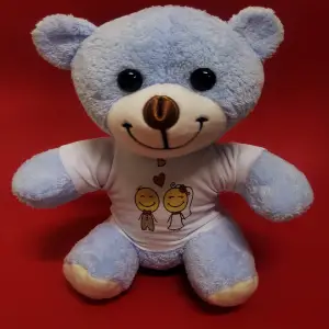 25 Cm Mutlu Çift Tişörtlü Peluş Ayı