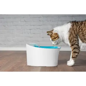 Kullanıma Uygun Otomatik Uyarılı Kedi Köpek Su Kabı
