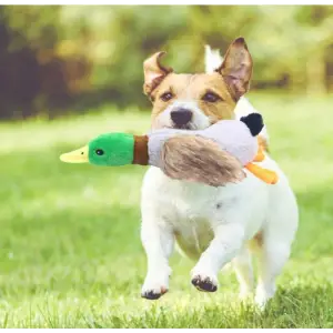 Kullanıma Uygun Sesli Ördek Şekilli Peluş Köpek Oyuncağı