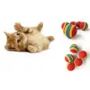 Kullanıma Uygun 2 ADET GÖKKUŞAĞI RENKLI KEDI KÖPEK OYUN TOPU