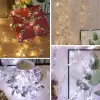 Kullanıma Uygun 3 Metre Yaldızlı Gümüş LED Işık