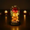 10 x 18 cm Kullanıma Uygun Ayıcıklı Ledli Gül Fanus