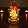 10 x 18 cm Kullanıma Uygun Ayıcıklı Ledli Gül Fanus