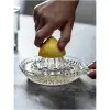 Kullanıma Uygun Cam Limon Sıkacağı